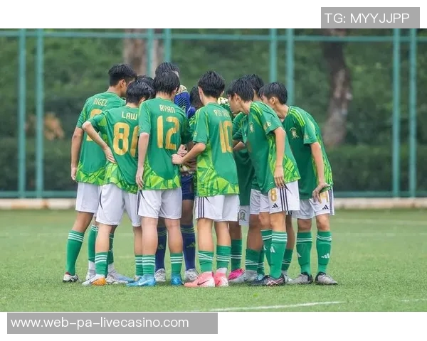 足球黑人在绿茵场上的奋斗与荣耀展现了体育的力量与包容性